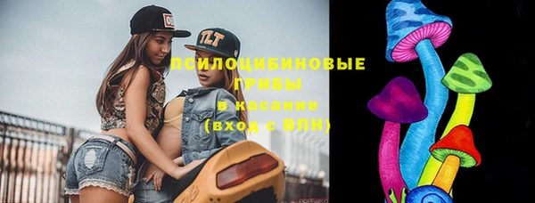Альфа ПВП Алексин
