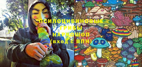 apvp Алексеевка