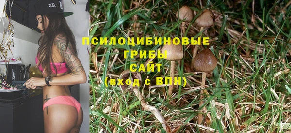 apvp Алексеевка